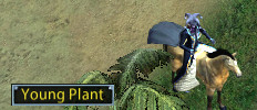 contract-plant