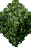 hedge_small