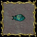 Tasty Fish