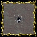 Mind Shattered Skull