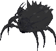 Solen Matriarch