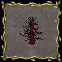 Charred Sproutling