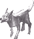Arctos