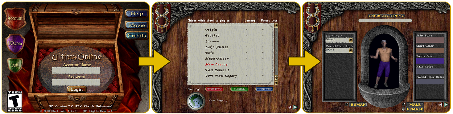 Ultima Online Login process